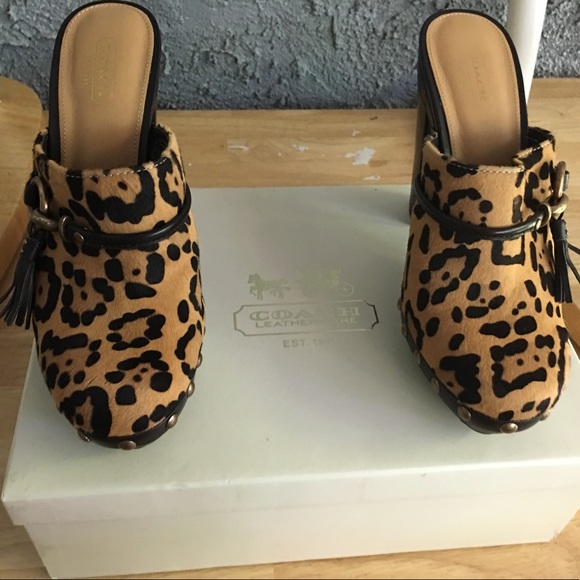 Brand new in box coach cheetah clogs - Picture 2 of 6
